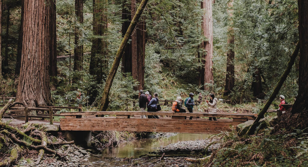 Muir Woods